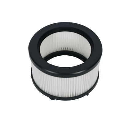 Filtru motor X-Force Flex 9.6, Rowenta, ZR009012