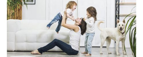 Imagine Categorie pentru Îngrijirea locuinței